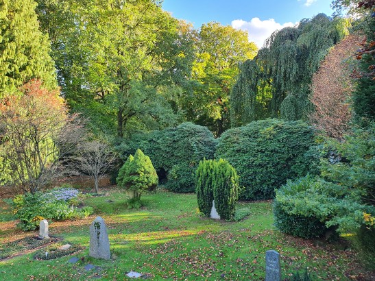 Einzelne Gräber auf einem grünen Friedhof