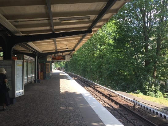 Von Grün umgeben locken die alten Holzbänke mit einem ganz eingenem Charme.