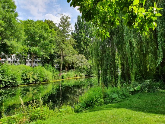 So schnell lässt sich der Trubel der Stadt vergessen