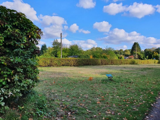 Hundepark in Ohlsdorf