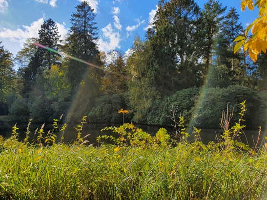 Stiller See im Friedhofsgelände