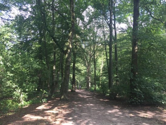 Der Stadtpark am Borgweg bringt Kindheitserinnerungen hoch.