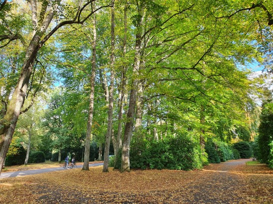 Waldeindrücke auf dem Friedhofsgelände