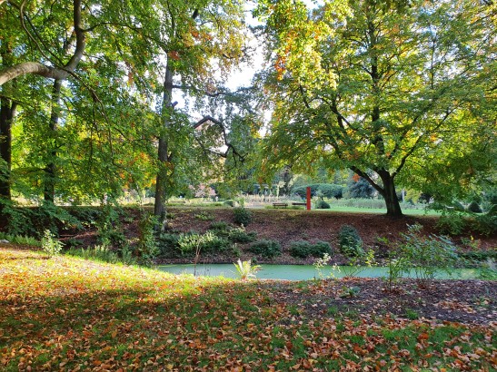 Waldeindrücke auf dem Friedhofsgelände