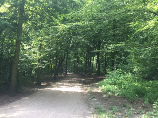 Der Weg zum Planetarium ist selbst im Hochsommer nicht von Menschen belagert.