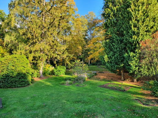 Unauffällige Familiengräber auf einer Rasenfläche