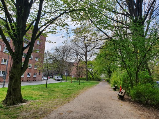 Grüne Sitzmöglichkeiten neben dem Rübenkamp.