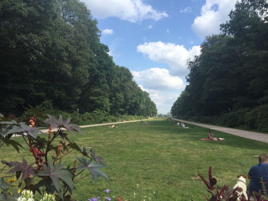 Eine einladende Wiese mit Blick auf das Planetarium, Picknicken erlaubt!