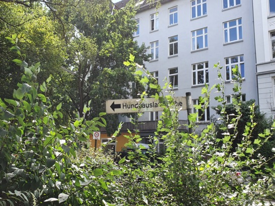 Dass hierauch ja niemand den Hund falsch austreten lässt