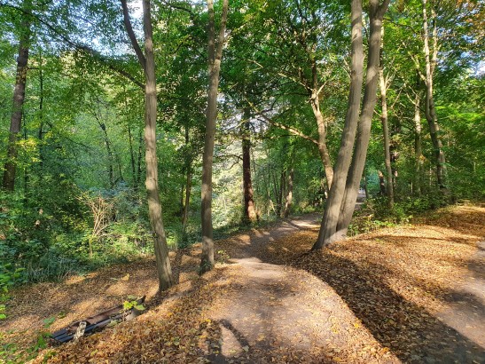 Grünanlage in Ohlsdorf